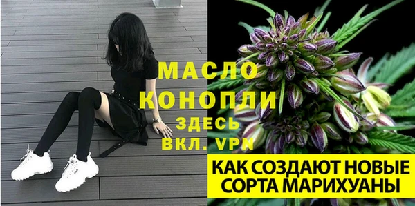амф Верея