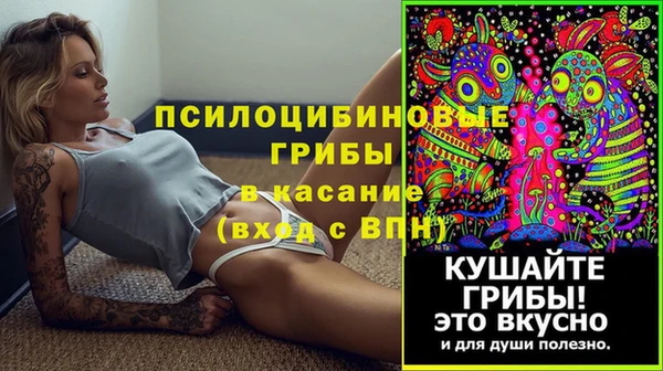амф Верея