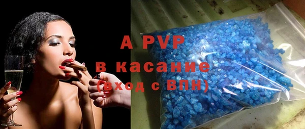 амф Верея