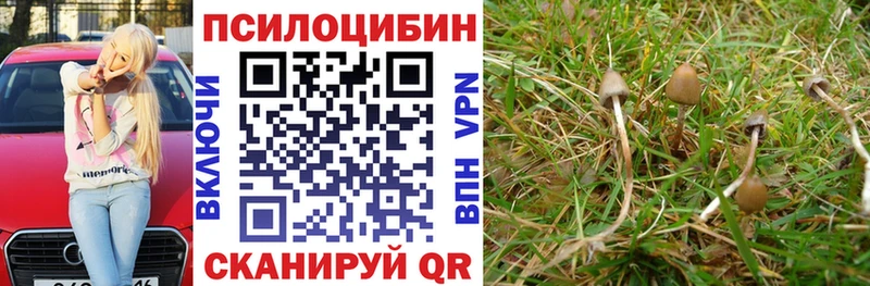 Купить  Бирск  Галлюциногенные грибы ЛСД 